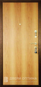 Дверь для дома с порошковой краской и ламинатом №63 - фото №2