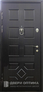 Дверь с порошком и МДФ панелью для дома №7 - фото №2